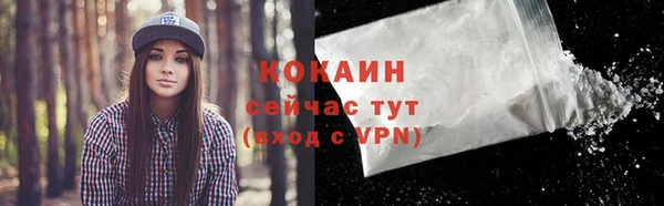 СК Бронницы