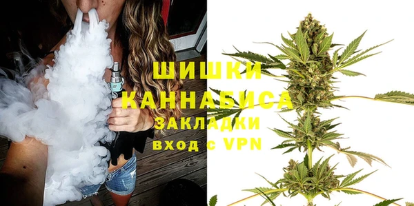 СК Бронницы