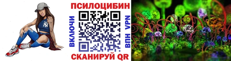 сайты даркнета как зайти  Владимир  Галлюциногенные грибы Psilocybine cubensis  купить  