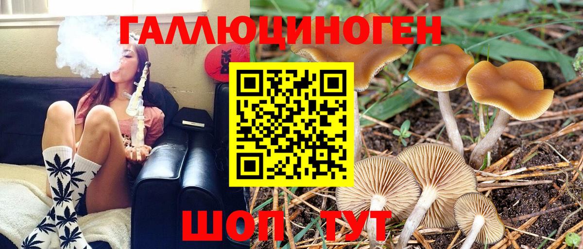 Псилоцибиновые грибы мухоморы  Вход с VPN  Владимир 