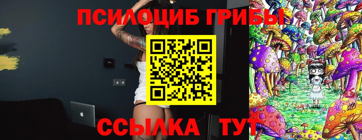 Галлюциногенные грибы Psilocybine cubensis Владимир