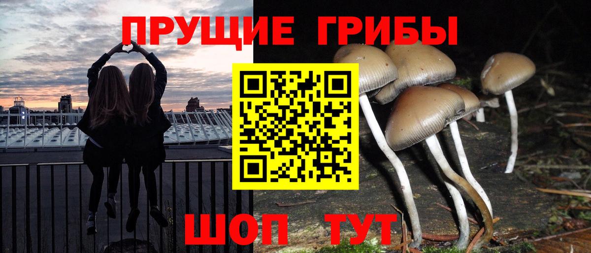 Псилоцибиновые грибы мицелий Владимир